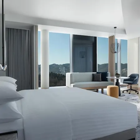 Marriott 酒店 地拉那